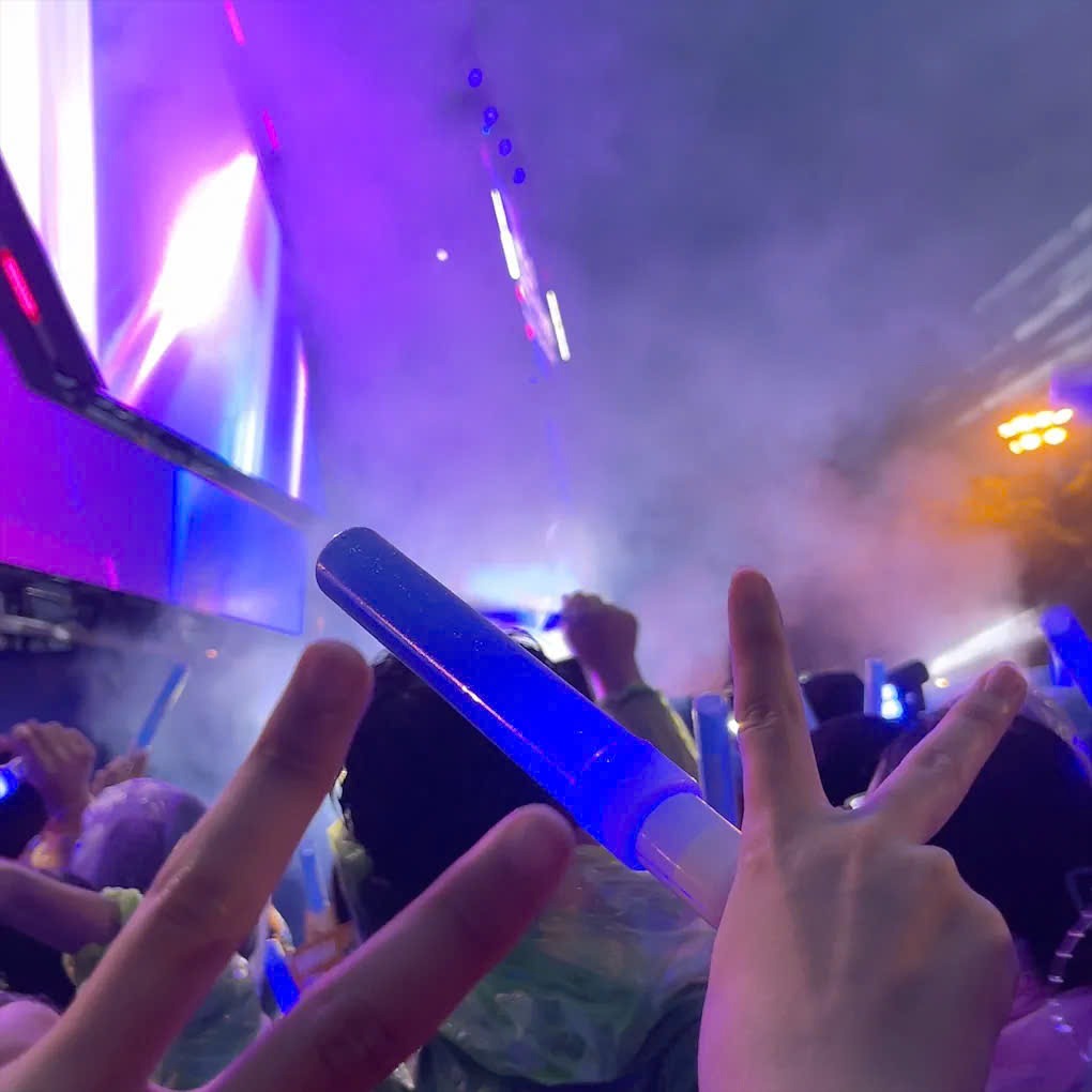 Lightstick Fest